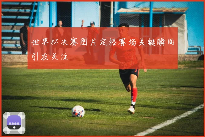 世界杯决赛图片定格赛场关键瞬间引发关注