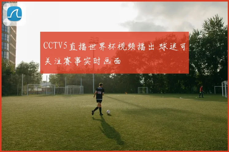 CCTV5直播世界杯视频播出 球迷可关注赛事实时画面