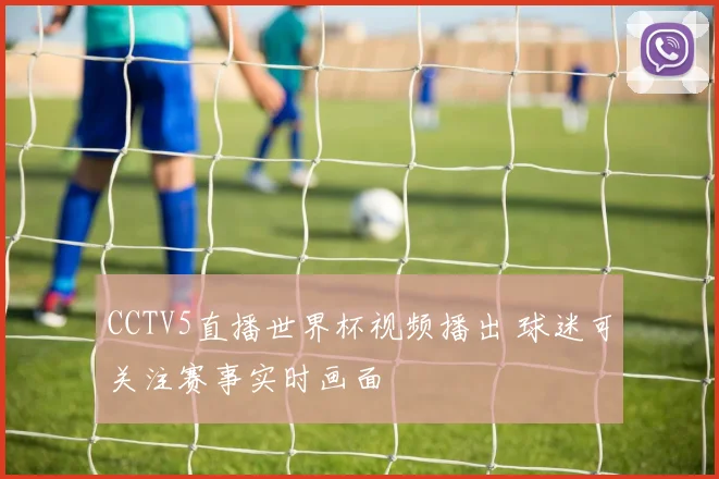 CCTV5直播世界杯视频播出 球迷可关注赛事实时画面