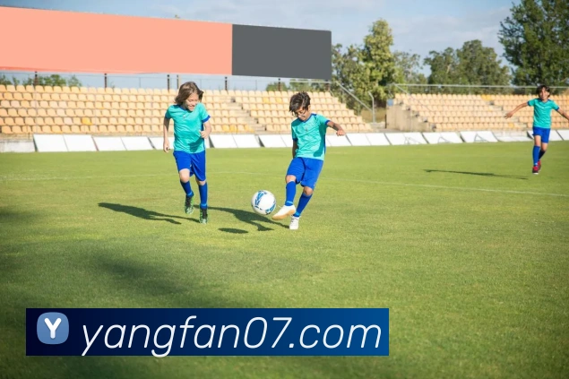 世界杯官方入口平台生态图