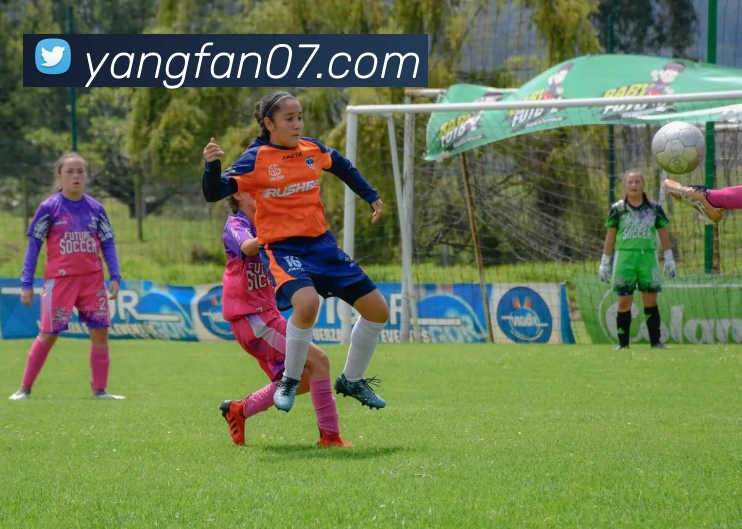 世界杯官方入口APP 封面图